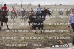 OLMEDO ENCIERRO 10-10-2015 63