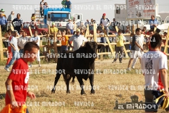 2008 Encierros Arévalo Revista Mirador 19