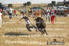 2008 Encierros Arévalo Revista Mirador 22