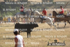 2008 Encierros Arévalo Revista Mirador 26