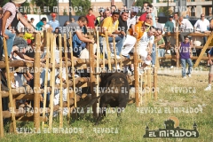 2008 Encierros Arévalo Revista Mirador 44