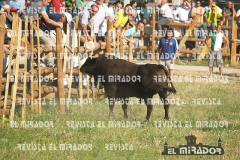 2008 Encierros Arévalo Revista Mirador 45