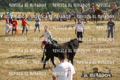 2008 Encierros Arévalo Revista Mirador 47