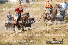 2009 ENCIERROS ARÉVALO REVISTA MIRADOR 22