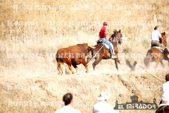 2009 ENCIERROS ARÉVALO REVISTA MIRADOR 35