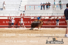 2010 ENCIERROS ARÉVALO REVISTA MIRADOR 25