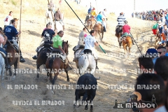 2011 ENCIERROS ARÉVALO REVISTA MIRADOR 10