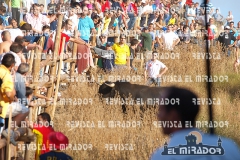 2011 ENCIERROS ARÉVALO REVISTA MIRADOR 26