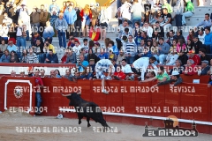 2012 ENCIERROS ARÉVALO REVISTA MIRADOR 13