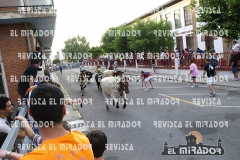 2013 ENCIERROS ARÉVALO REVISTA MIRADOR 26