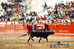 2013 ENCIERROS ARÉVALO REVISTA MIRADOR 36