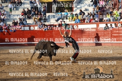 2013 ENCIERROS ARÉVALO REVISTA MIRADOR 37