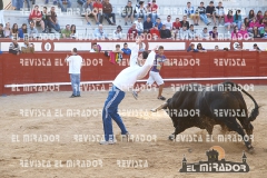 2013 ENCIERROS ARÉVALO REVISTA MIRADOR 39