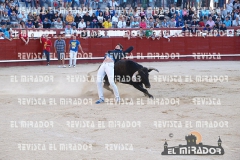 2013 ENCIERROS ARÉVALO REVISTA MIRADOR 9