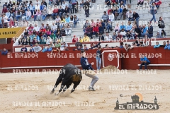 2014 Encierros Arévalo Revista Mirador 22