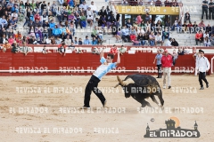 2014 Encierros Arévalo Revista Mirador 23