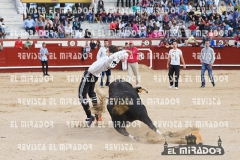 2014 Encierros Arévalo Revista Mirador 24