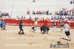 2014 Encierros Arévalo Revista Mirador 42