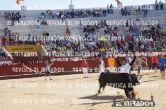 2014 Encierros Arévalo Revista Mirador 49