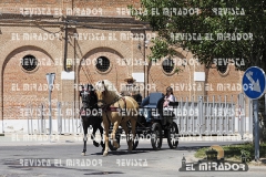 2016 feria caballo medina del campo 1