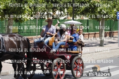 2016 feria caballo medina del campo 10