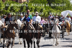 2016 feria caballo medina del campo 100