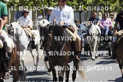 2016 feria caballo medina del campo 101