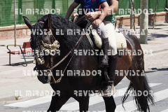 2016 feria caballo medina del campo 102