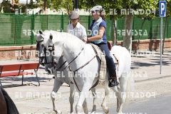 2016 feria caballo medina del campo 103