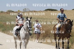 2016 feria caballo medina del campo 108