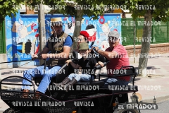 2016 feria caballo medina del campo 11