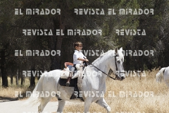 2016 feria caballo medina del campo 110
