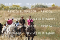 2016 feria caballo medina del campo 111