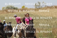2016 feria caballo medina del campo 112