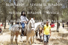 2016 feria caballo medina del campo 114