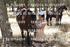 2016 feria caballo medina del campo 115
