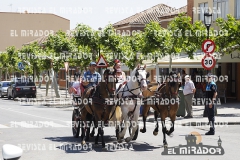 2016 feria caballo medina del campo 13