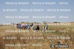 2016 feria caballo medina del campo 15