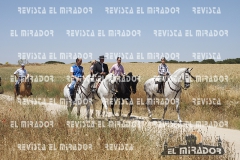 2016 feria caballo medina del campo 16