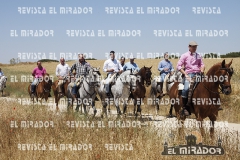 2016 feria caballo medina del campo 18