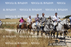 2016 feria caballo medina del campo 19