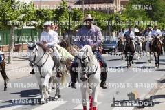 2016 feria caballo medina del campo 2