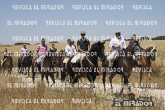 2016 feria caballo medina del campo 22