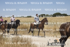2016 feria caballo medina del campo 23