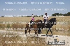 2016 feria caballo medina del campo 24
