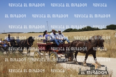2016 feria caballo medina del campo 25