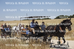 2016 feria caballo medina del campo 26