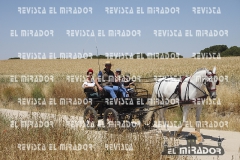 2016 feria caballo medina del campo 27