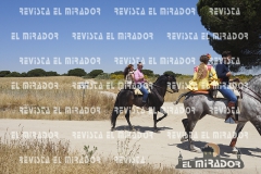 2016 feria caballo medina del campo 29