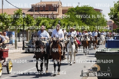 2016 feria caballo medina del campo 3